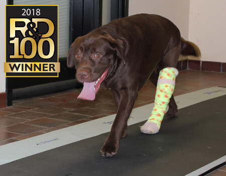 Animal Strideway System